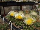 DSCF8726