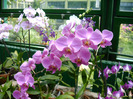 IMAG0037