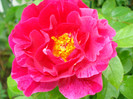 DSC02360