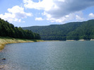 IMAG0009