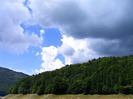 IMAG0011