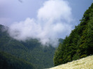 IMAG0027