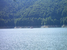 IMAG0028
