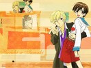 AnimePaperwallpapers_Ouran-High-School-Host-Club_Scherrice_47075