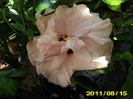 Picture 038