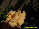 Picture 006