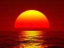 big-orange-sun-4