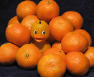 orange-FUZ-duck