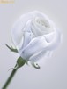puritate_1235134634