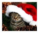 merry_christmas
