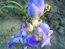 DSC05502