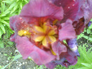 DSC05391