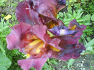 DSC05393