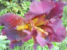 DSC05394