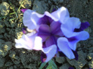 DSC05396