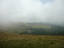 TRANSALPINA