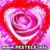 images (26)