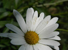 072