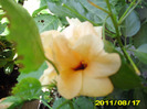 Picture 003