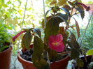 DSCN0936