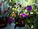 DSCN0943
