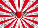 images (13)