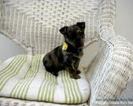 images (12)