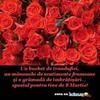 images (18)