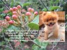 images (20)