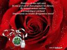 images (25)