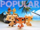 lps popular