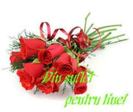 93MZSCCADJB51ZCAXXTCL1CAS3UWDACA2FKMD3CAS5Q8IZCAH9L82CCAWRFA0ACAB23WRXCA5MO9E7CAX7OK16CAZSDHC5CA5BX8