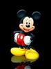 AZFRCNCADQR6K8CAUQD4NBCAZ1EY6DCA99IBHCCA3Q2V0NCACTKL52CAX7SEYDCA2YK3LGCASSK3EPCAARAR2FCANJECSOCA6UCC