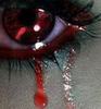 images (14)