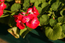 DSC03162