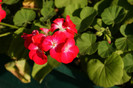 DSC03163