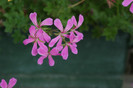 DSC03170