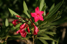 DSC03205