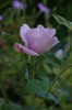 DSC03206