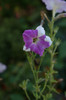 DSC03207