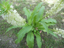 DSCN0475