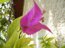 DSCN0459