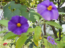 DSCN0471
