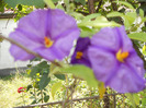 DSCN0472