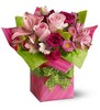 gift-0