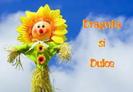 images (41)