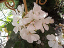 DSCN0469
