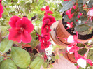 DSCN0463