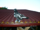 SANY0087