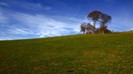 01194_indiantreehill_2560x1600